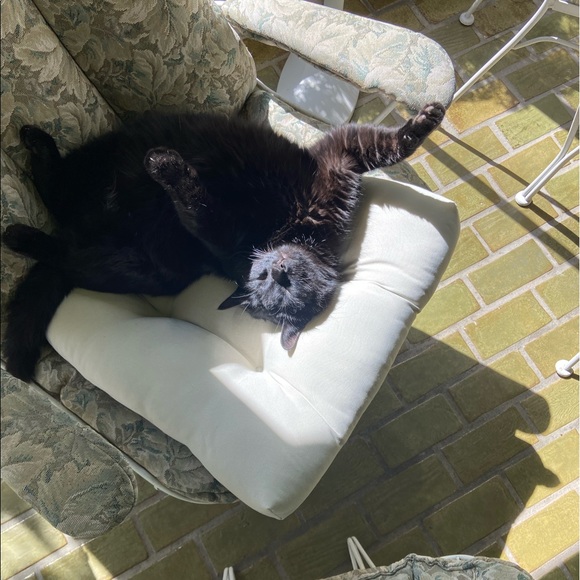 Meet your Posher, Lorna - Picture 1 of 1